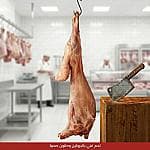 خروف نعيمي كشميري مبرد وسط (10-11 كيلو) — 2