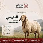 خروف نعيمي — 1