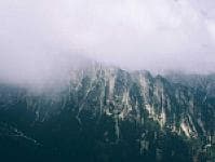 صورة 2