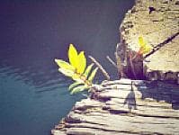 صورة 2