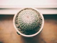 صورة 1