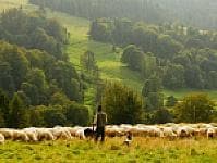 صورة 2