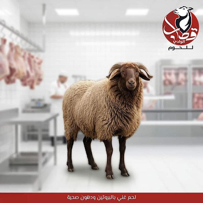 خروف نعيمي بلدي طازج