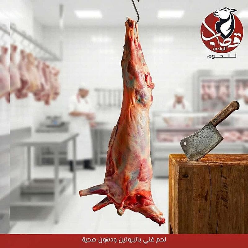 تيس إثيوبي مبرد